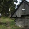 w dodze na Halę Lipwską, stanisław m