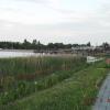 , sylwuniasylwia