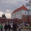 Muzeum w Sandomierzu, Tadeusz Walkowicz