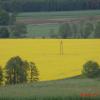, Barsolis Karol Turysta Kulturowy