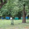, Barsolis Karol Turysta Kulturowy