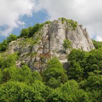 Sokolica w Dolinie Będkowskiej