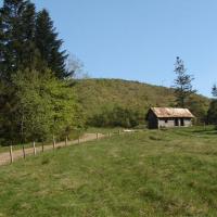 Hala Boracza, stanisław m