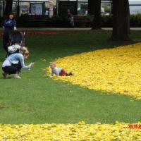 , Barsolis Karol Turysta Kulturowy