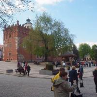 Rynek Sandomierza., Tadeusz Walkowicz