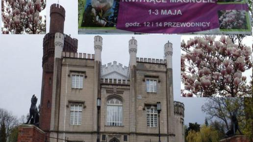 , Barsolis Karol Turysta Kulturowy