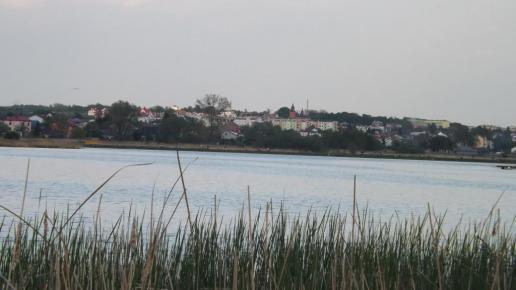 , sylwuniasylwia