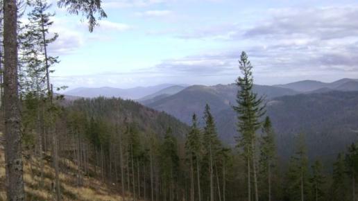 Panoramy ze szlaku żółtego, DoRi