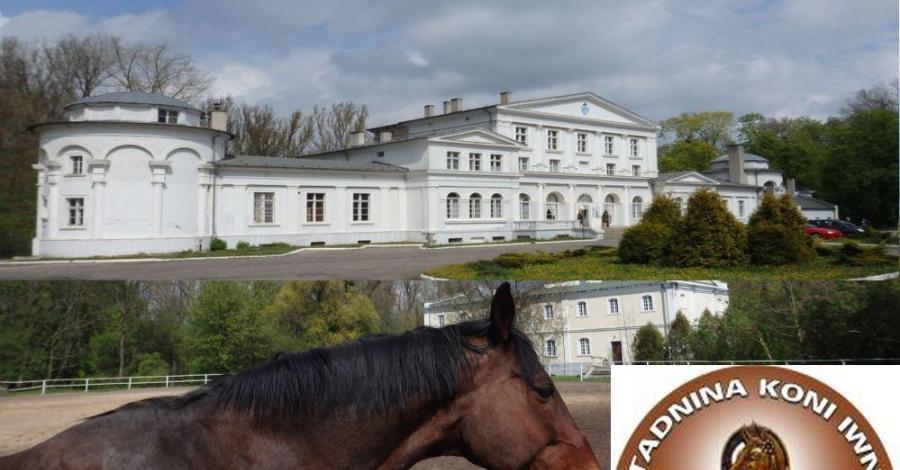 Iwno.filmowa stadnina koni ,neorenesansowy pałac, barokowy kościół i !! - zdjęcie