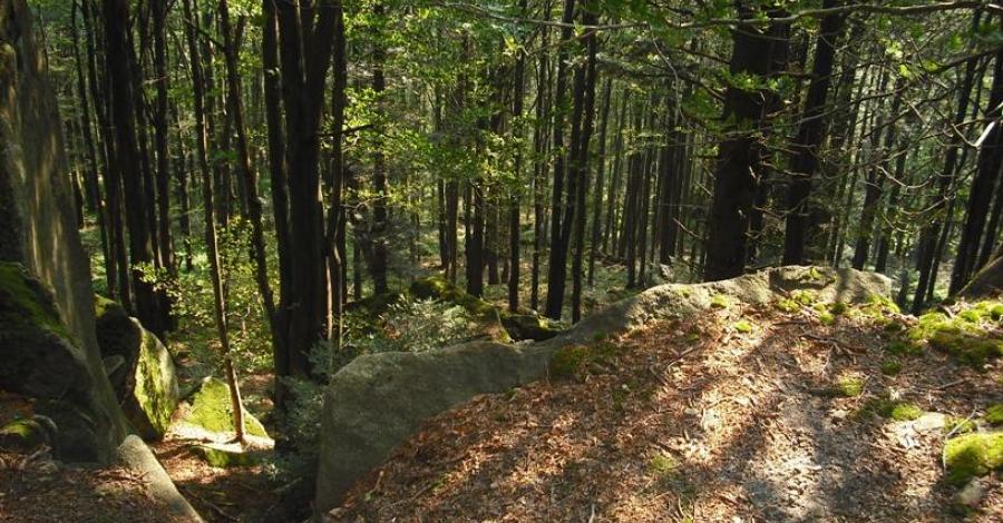 Wyjazd w Beskid Niski Magurski Park Narodowy - Folusz - zdjęcie