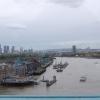 Tamiza z Tower Bridge, Jan Nowak