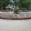 , marian