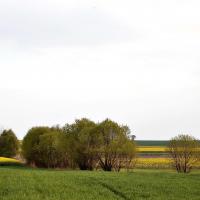 , Magdalena