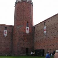 Łęczyca-zamek d.Boruty, Henryka Darnia