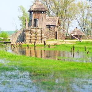 Pałuki