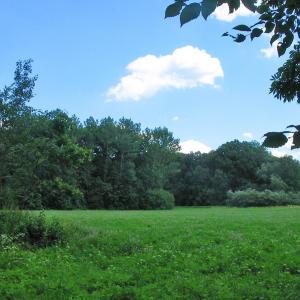 Park Krajobrazowy w Henrykowie