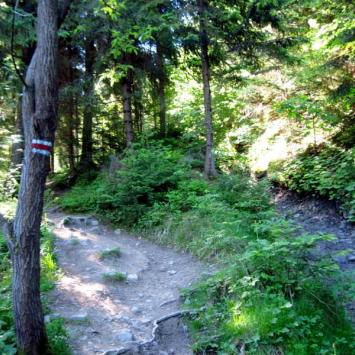 Głowny szlak Beskidzki kierunek Turbacz, Roman Świątkowski