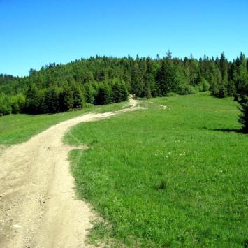 jedna z wielu polan na trasie, Roman Świątkowski