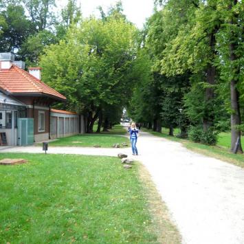 , Piotr Rzewuski