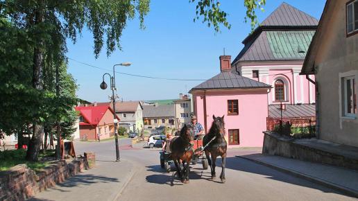 Bryczką przez Szczebrzeszyn
