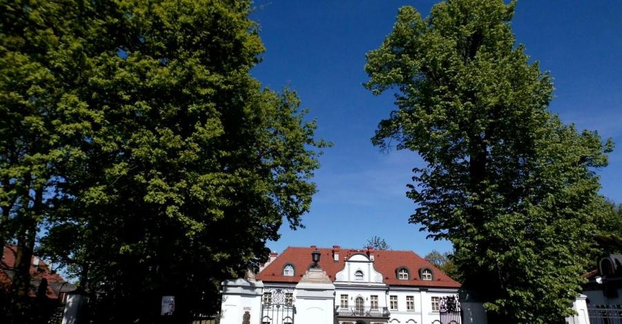 do Czarnego Lasu na rowerku - zdjęcie