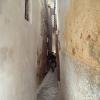 Medina w Fezie, Danusia