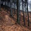 , kubarek23