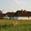 , Justyna