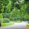 Park miejski Kalisz