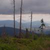 Na szlaku, Tadeusz Walkowicz