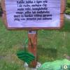 , Ane TA