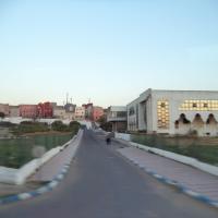 Safi, Danusia