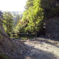 , mokunka