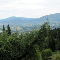 , Roman Świątkowski