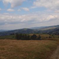 Na trasie, Tadeusz Walkowicz