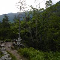 , Ula Przygoda
