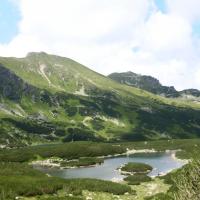 , Ula Przygoda