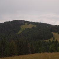Sch. na Turbaczu - pada, Tadeusz Walkowicz