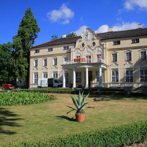 Pałac Witaszyce