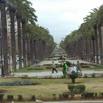 Fez, Danusia