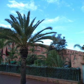 Marrakesz, Danusia