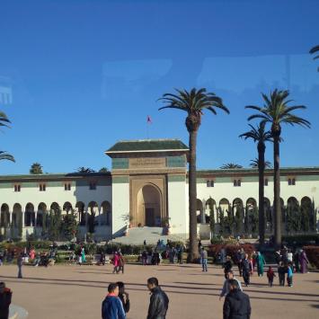Plac Mohameda V w Casablance, Danusia