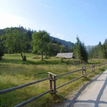 Grześ - Rakoń - Wołowiec - zdjęcie