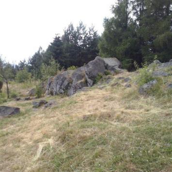 , mokunka