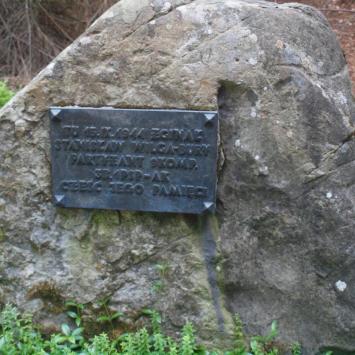 Historia, Tadeusz Walkowicz
