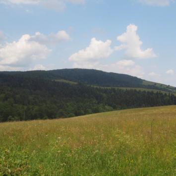 Na szlaku, Tadeusz Walkowicz