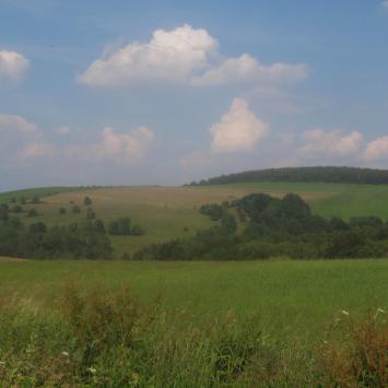 Na szlaku, Tadeusz Walkowicz
