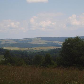 Na szlaku, Tadeusz Walkowicz