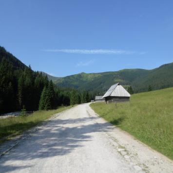 , Ula Przygoda