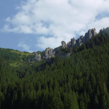 , Ula Przygoda